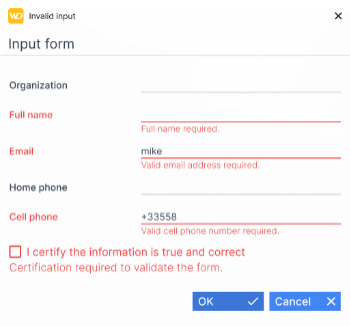 Required input fields that are left empty and data that does not match the input mask are highlighted in red. You can navigate between controls