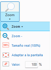 Opciones de zoom