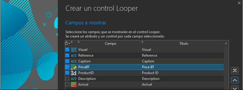Nuevo control Looper - Campos a mostrar