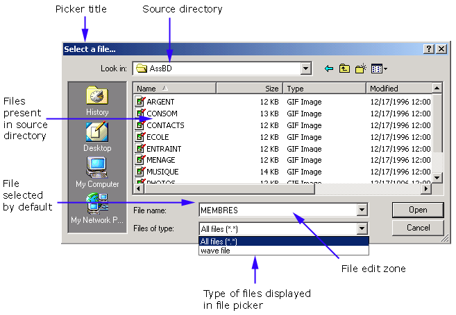 Selector de archivos de Windows