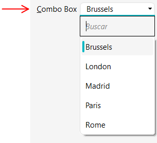 Search control displayed in the expanded Combo Box